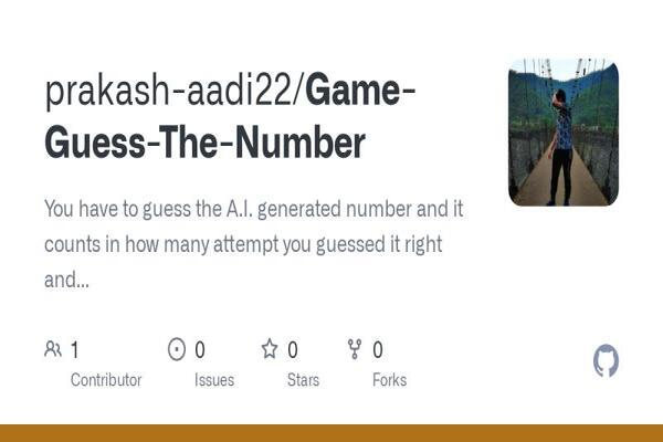 Game-Guess the Number