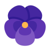 Lavender Theme